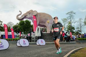 BIB: 
                            <button type="button" onclick="openModal(26528974)" class="btn btn-primary btn-sm float-right btn-popup" data-toggle="modal" data-target=".modal-high-quality">
                        <i class="fas fa-shopping-cart"></i> Add to Cart
                    </button>
                                            <button type="button" onclick="isThisMe(26528974, true)" class="btn btn-success btn-sm float-right btn-popup btn-isme hidden" data-toggle="tooltip" data-placement="bottom" title="นี่คือรูปของคุณใช่ไหม คลิกที่นี่เพื่อเอาเข้าอัลบั้ม">
                        <i class="fas fa-plus"></i> Add to album
                    </button>
                    <button type="button" onclick="isThisMe(26528974, false)" class="btn btn-warning btn-sm float-right btn-popup btn-isnotme hidden">
                        <i class="fas fa-ban"></i> Remove from album
                    </button>